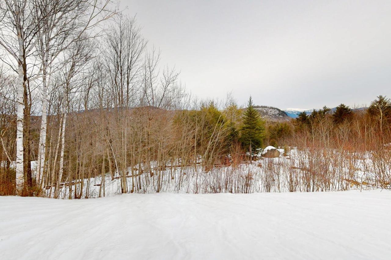 White Mountain Chalet Apartment Bartlett Exterior photo